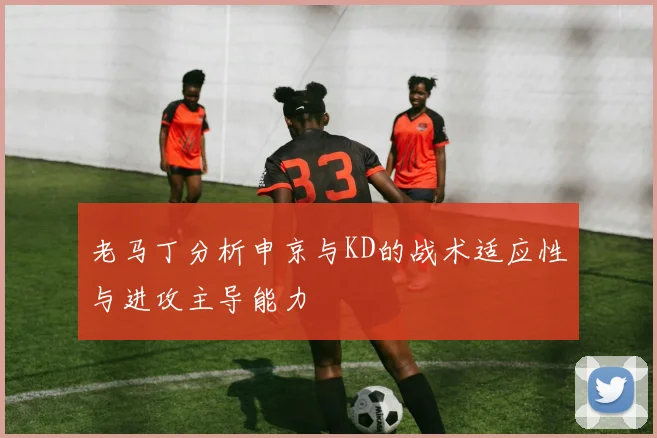 老马丁分析申京与KD的战术适应性与进攻主导能力