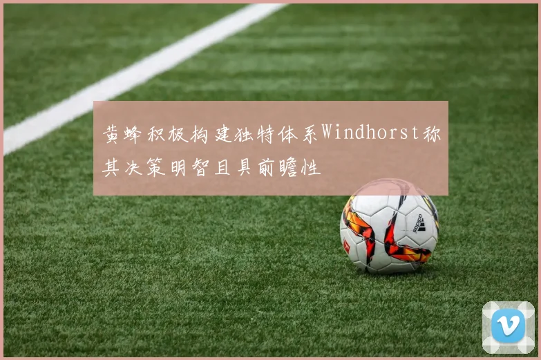 黄蜂积极构建独特体系Windhorst称其决策明智且具前瞻性