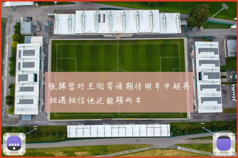 张稀哲对王刚寄语期待明年中超再相遇相信他还能踢两年