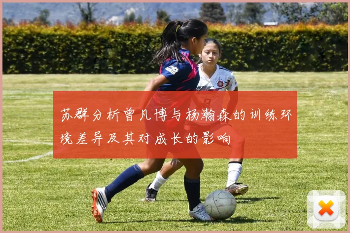 苏群分析曾凡博与杨瀚森的训练环境差异及其对成长的影响